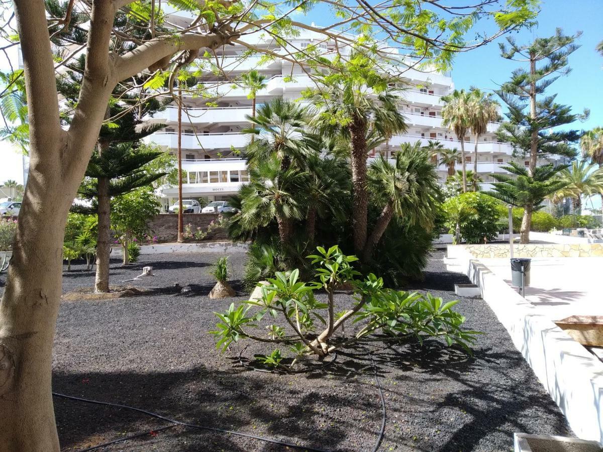 Апартаменты Vina Del Mar Плая-де-лас-Америкас Экстерьер фото